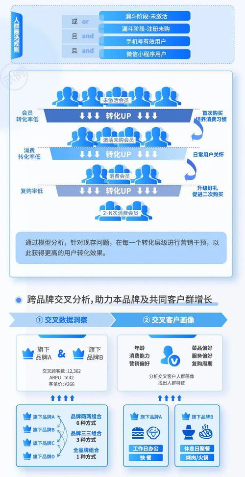 食品飲料行業營銷策略、數據運營與財務管理咨詢案例分享